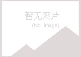 白银平川向彤造纸有限公司